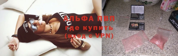 стаф Абаза