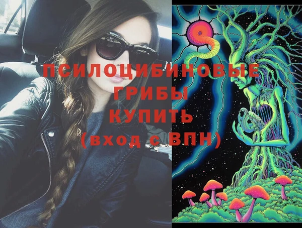 шишки Алексин