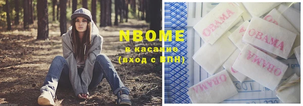 шишки Алексин