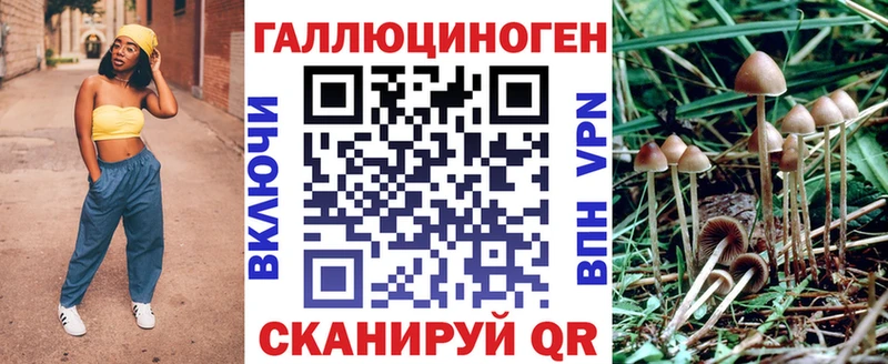 дарнет шоп это формула Галлюциногенные грибы прущие грибы Дмитровск