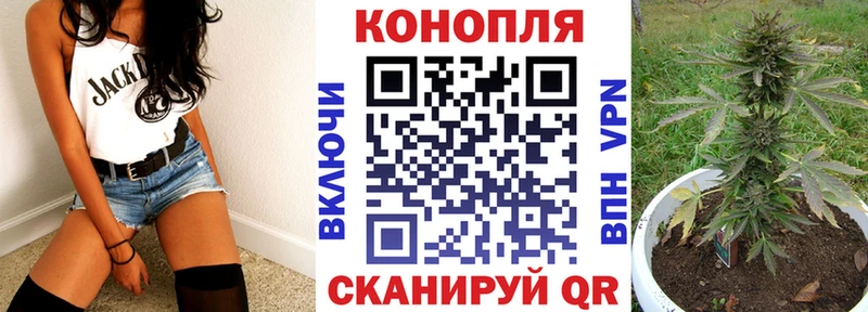 где можно купить наркотик  блэк спрут ссылка  Канабис VHQ  Дмитровск 